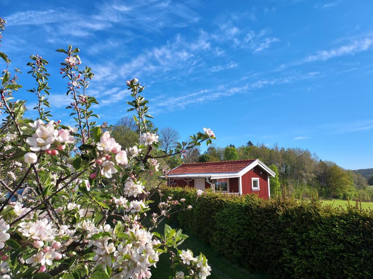 Aelgbergets Bed & Breakfast Ucklum Dış mekan fotoğraf