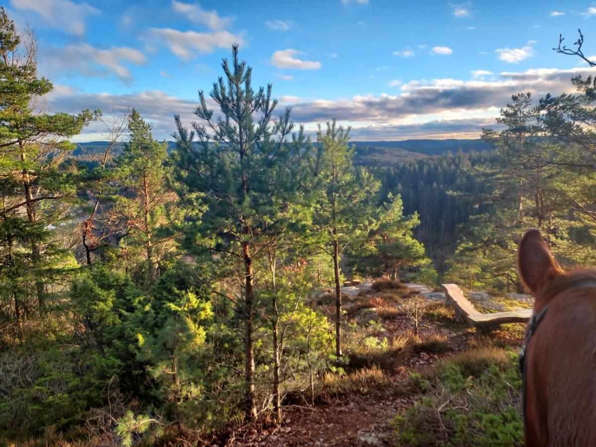 Aelgbergets Bed & Breakfast Ucklum Dış mekan fotoğraf