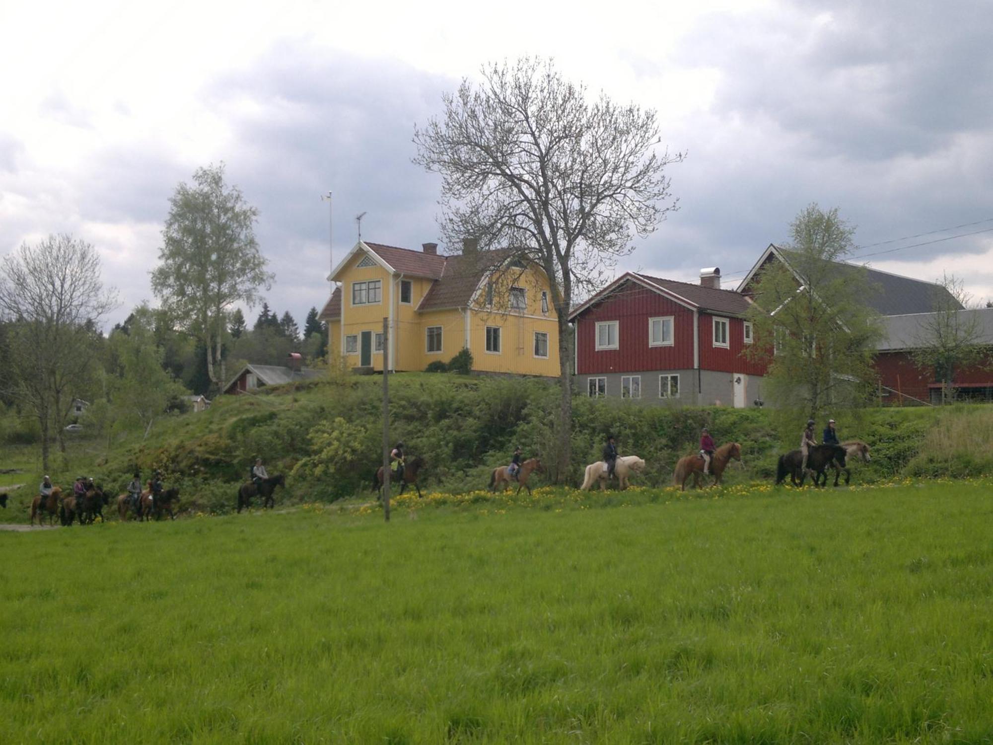 Aelgbergets Bed & Breakfast Ucklum Dış mekan fotoğraf